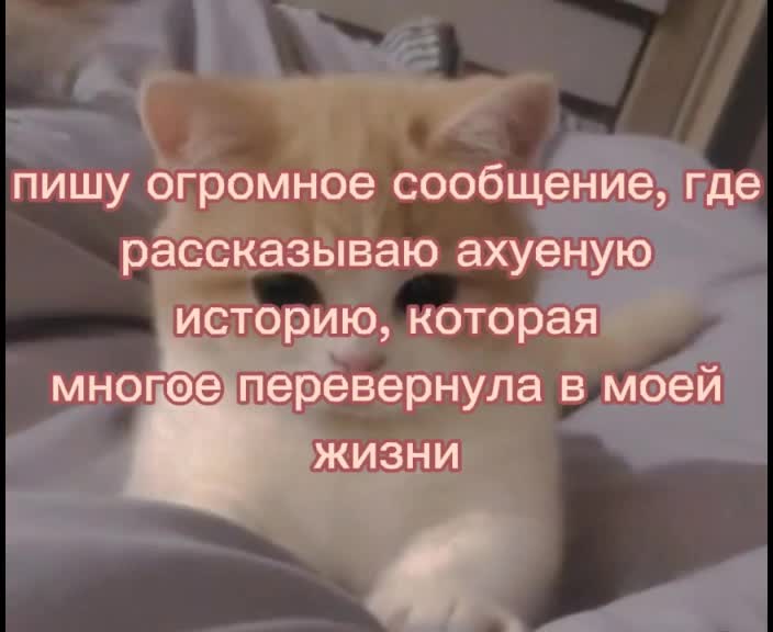 @попа