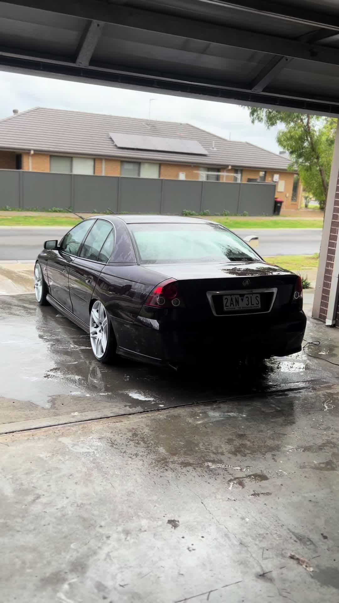 @Bagged.ve