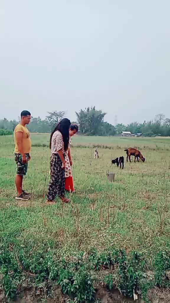@Thakuree Sushan Vuze
