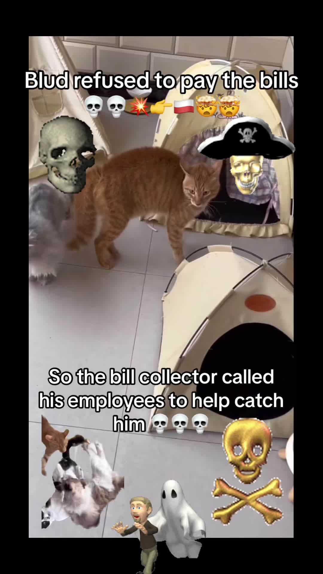 @NoCode_12