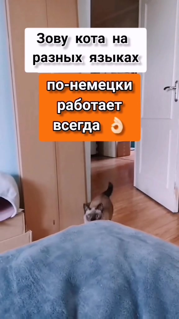 @𝕧𝕒𝕤𝕚𝕝𝕚𝕤𝕒_𝕗𝕠𝕩