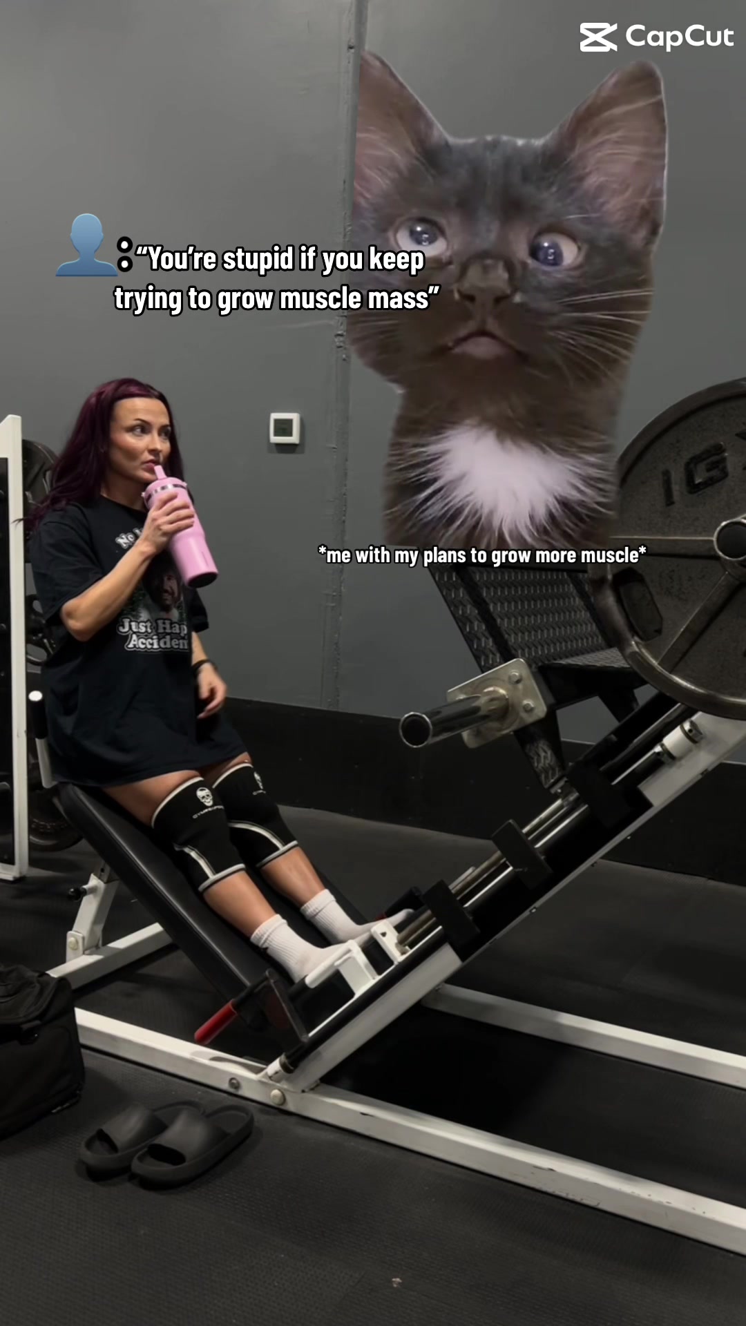 @aferalgymrat
