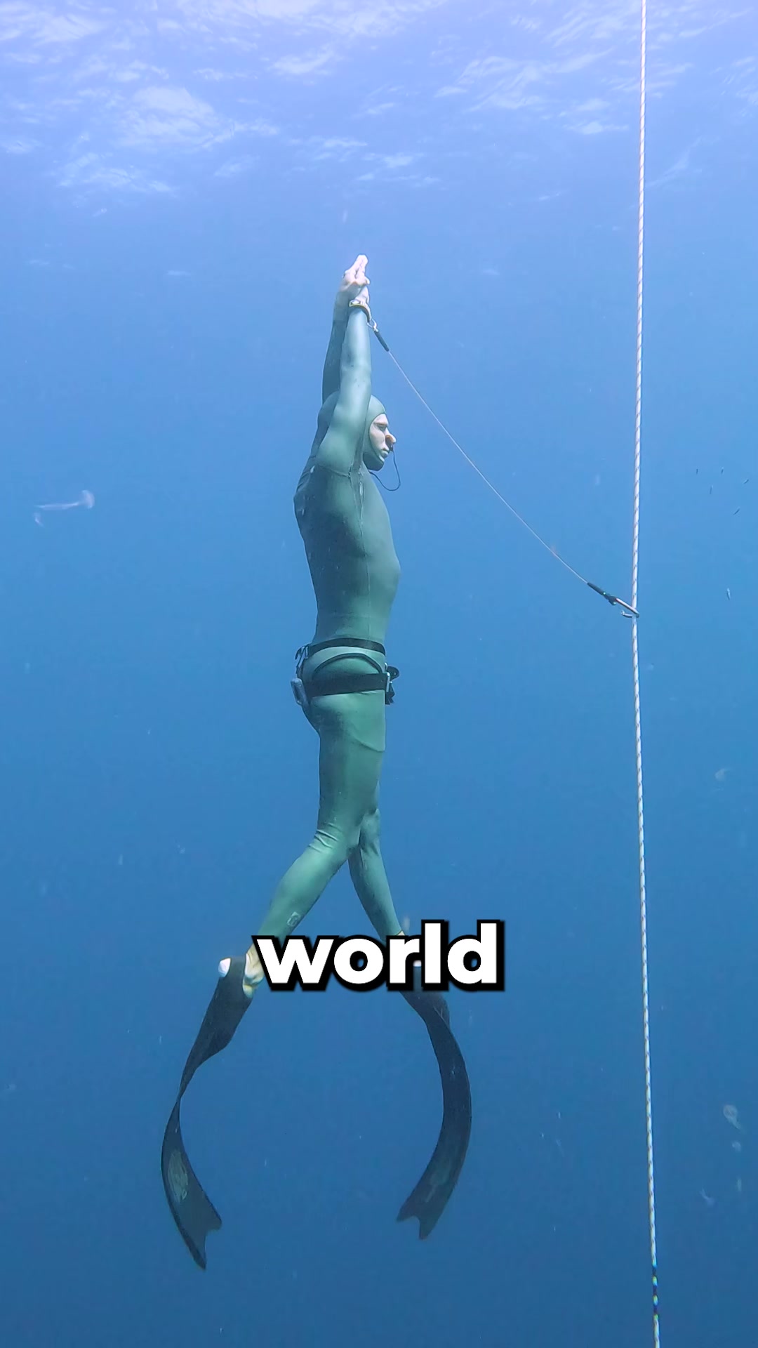 @Salty Mammals