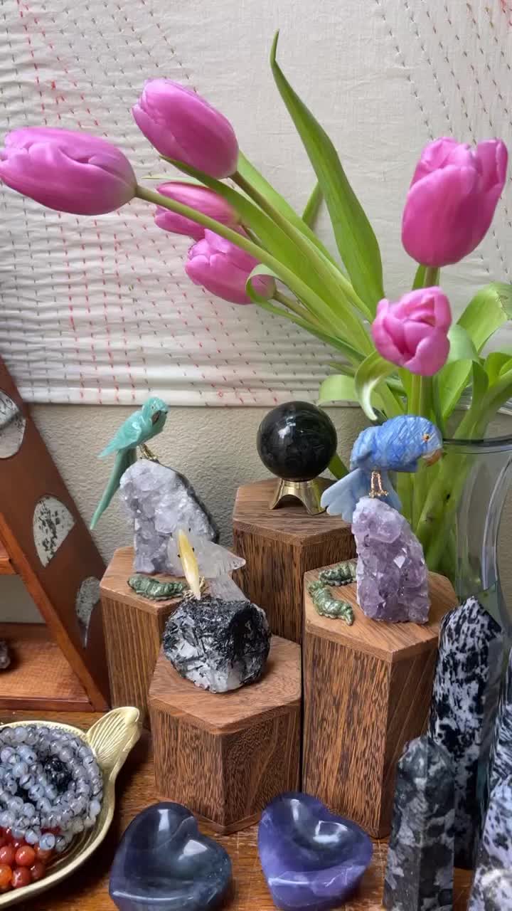 @Witchy Kitty Crystals
