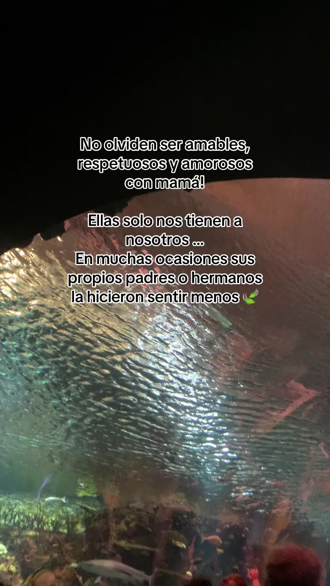 @🔅 𝔚𝔥𝔬&rsquo;𝔰𝔖𝔞𝔪𝔶 🔅