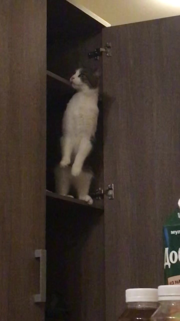 @Артём