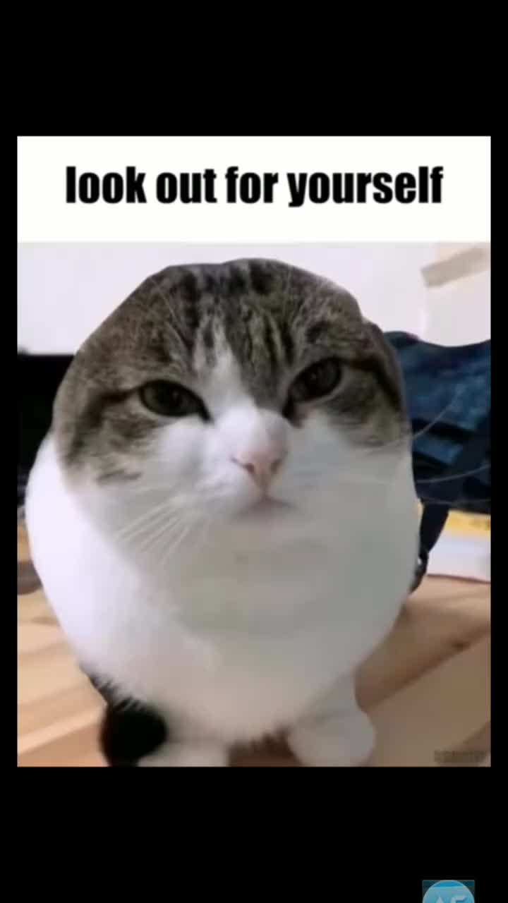 @fuc5 Jews