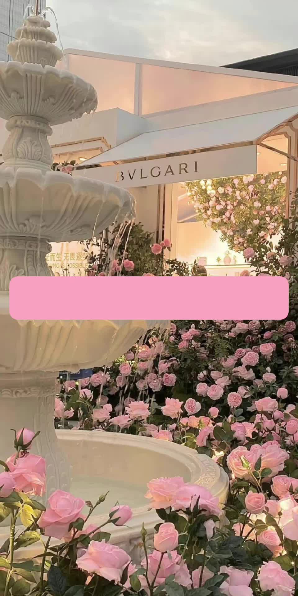 @jann🏄♀️🌺🪸