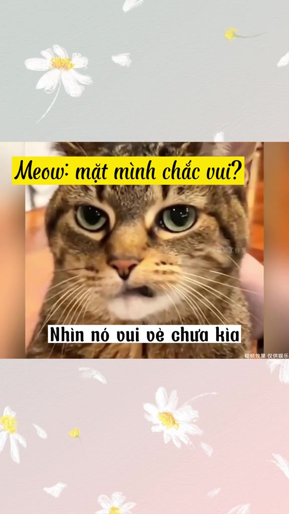 @Y&ecirc;u th&uacute; cưng