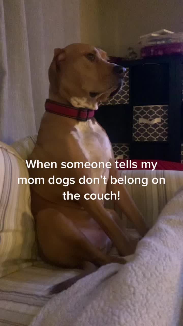 @Kristen