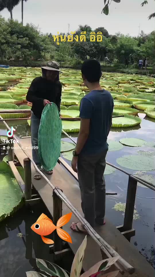 @คนสร้างฝัน