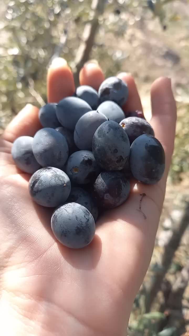 @aslıhnarass
