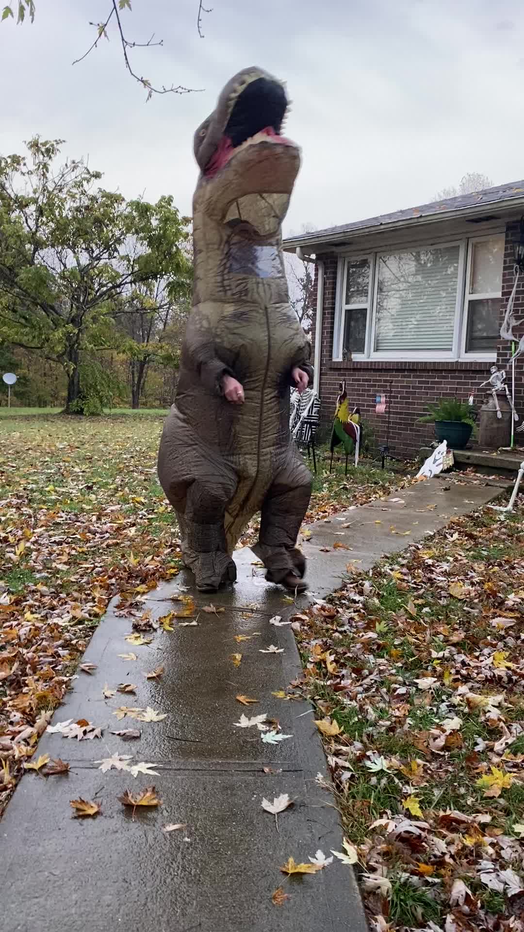 @🐊 Gator 🐊