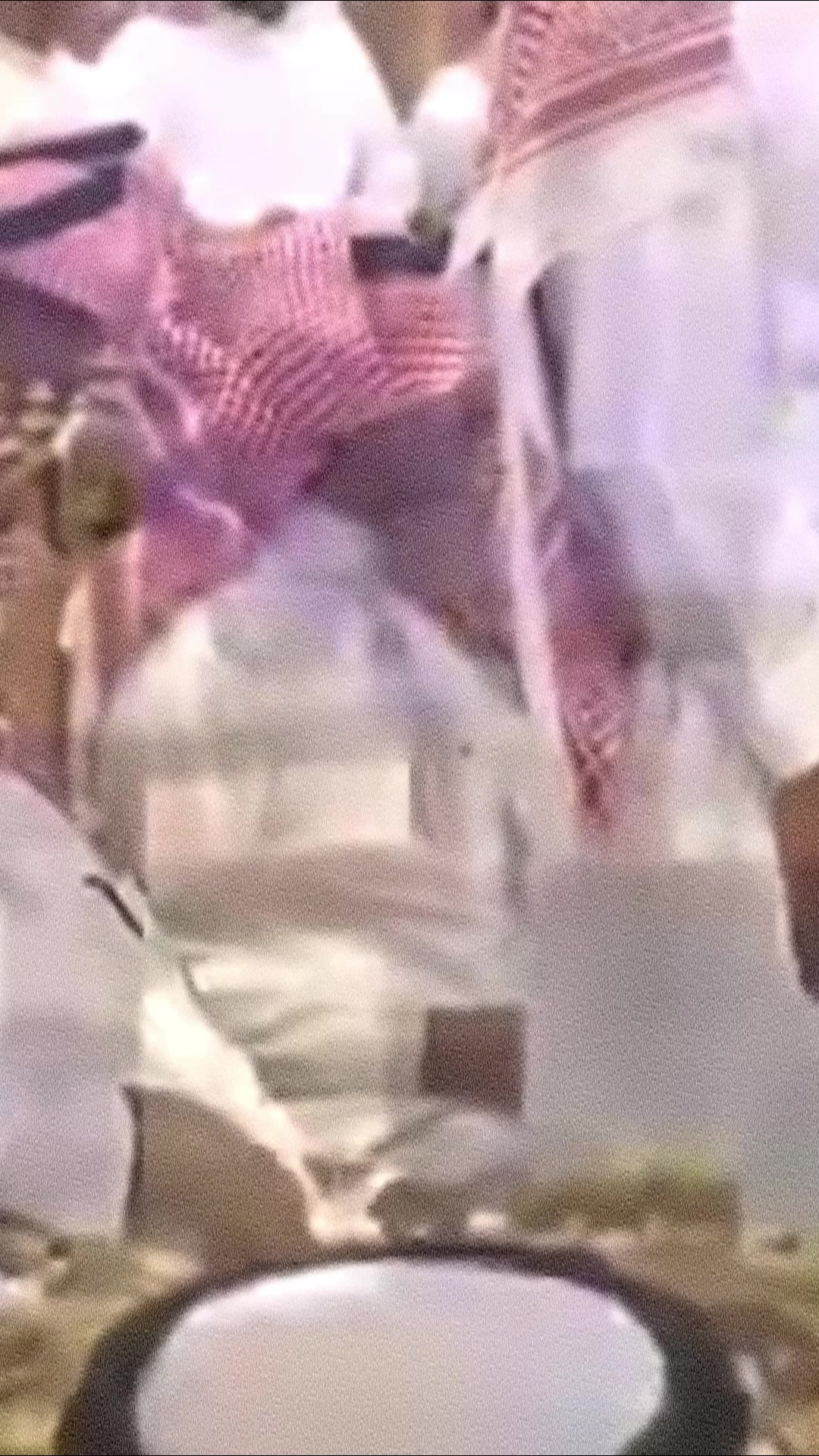 @Saudi🇸🇦