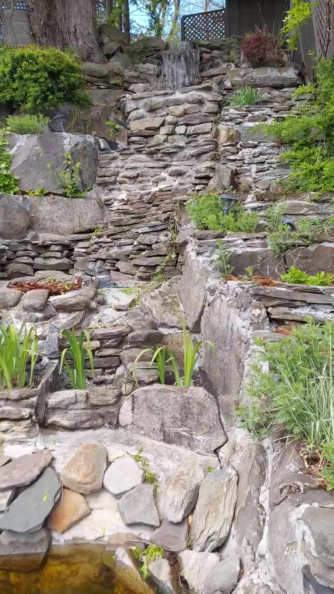 @B&M Aquatics