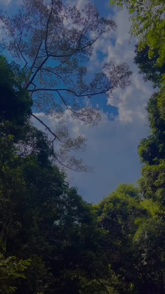 @mohanrajdominator