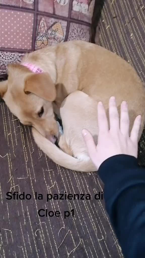 @_martina_