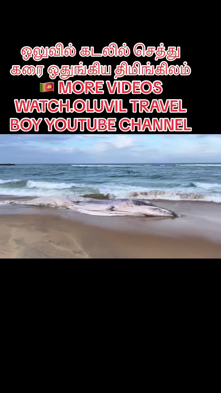 @TRAVEL BOY🇱🇰