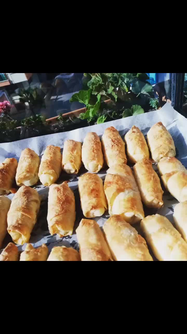 @tevhideguler