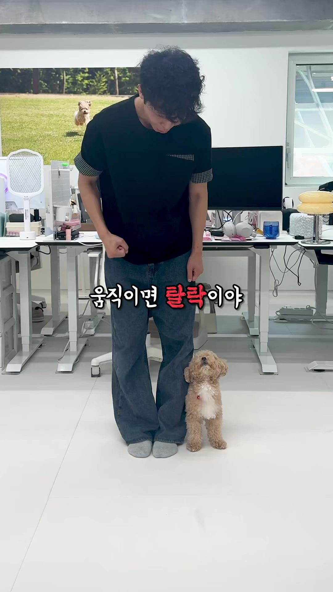 @원샷한솔
