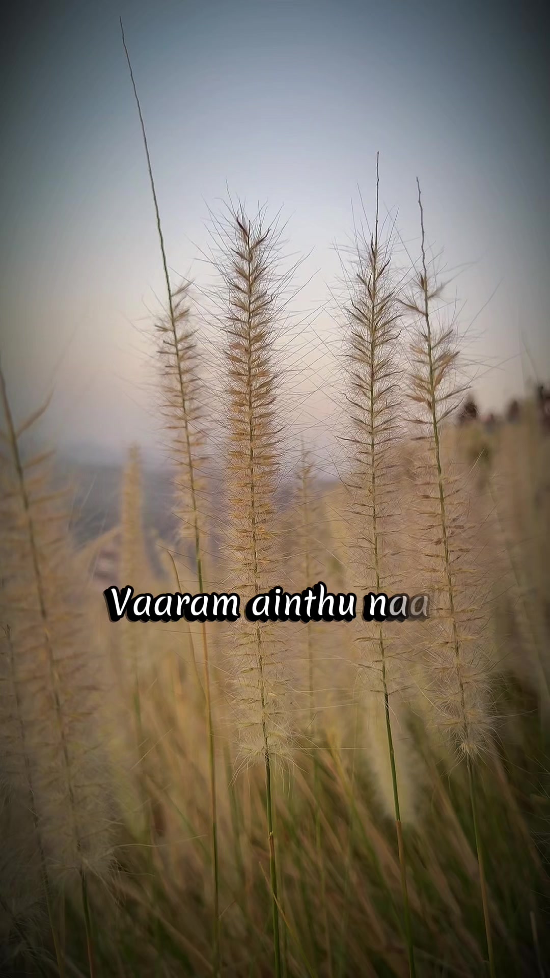 @Vintage rust