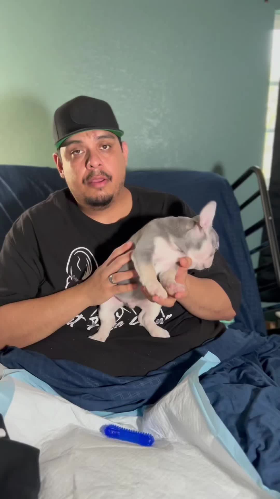 @Flatfacebullyz