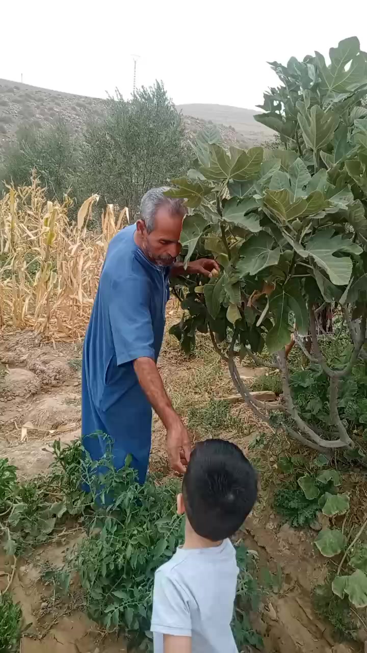 @محمد أمين 🇩🇿