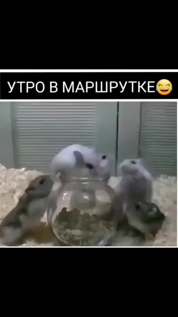 @funtikschpuntik