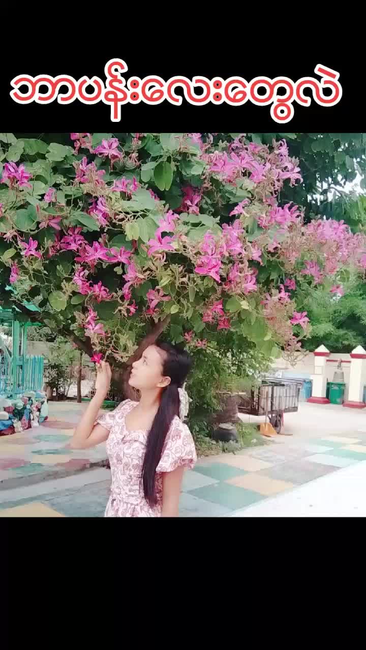 @facebookthida
