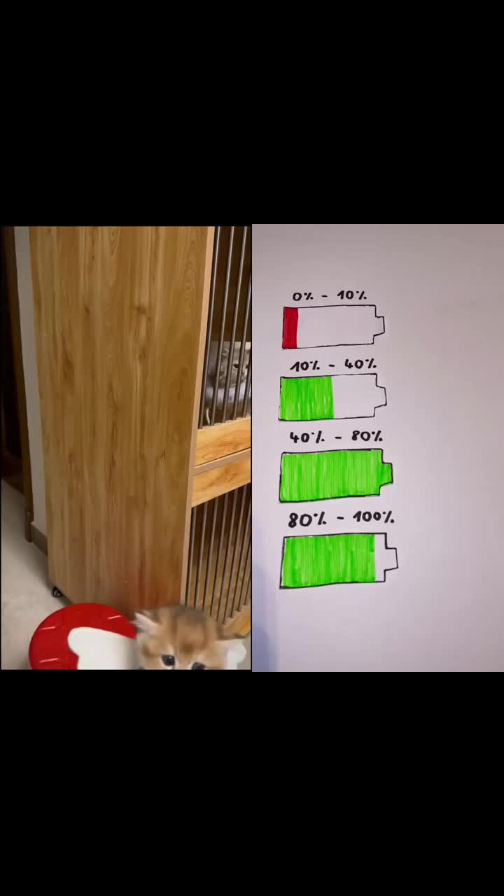 @maxfsdf