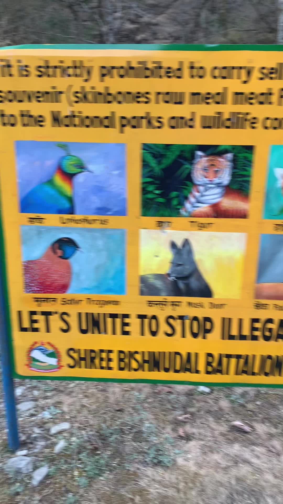 @Ajay Bajgain