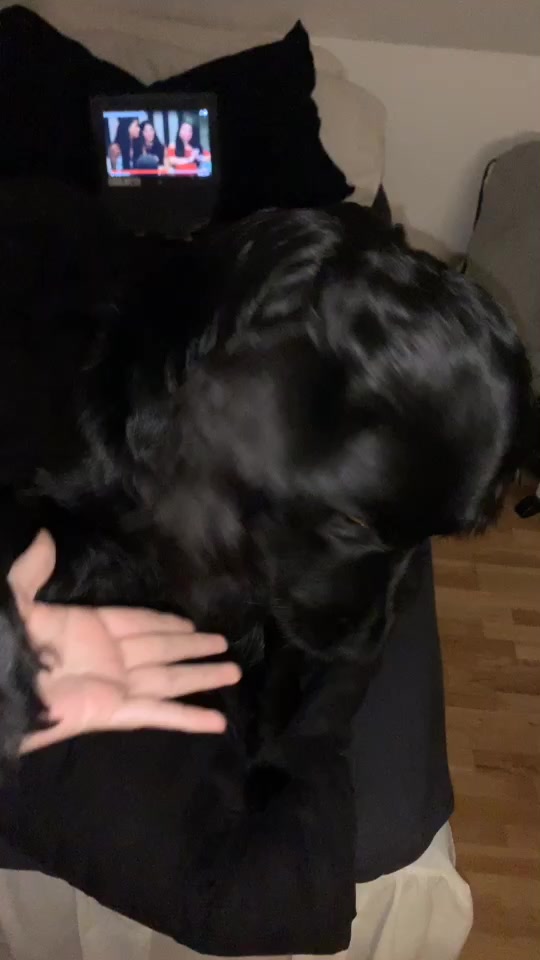 @Tovabruhn