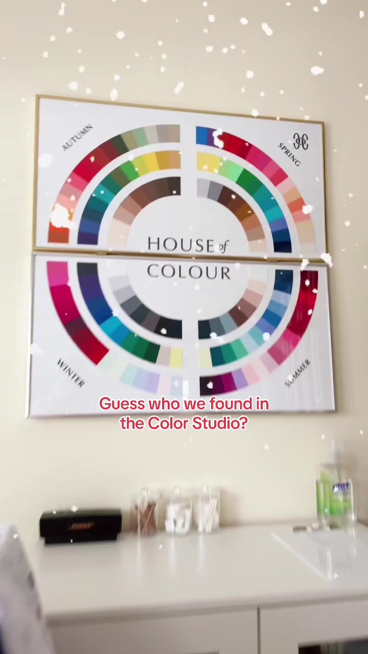 @House of Colour St Pete FL