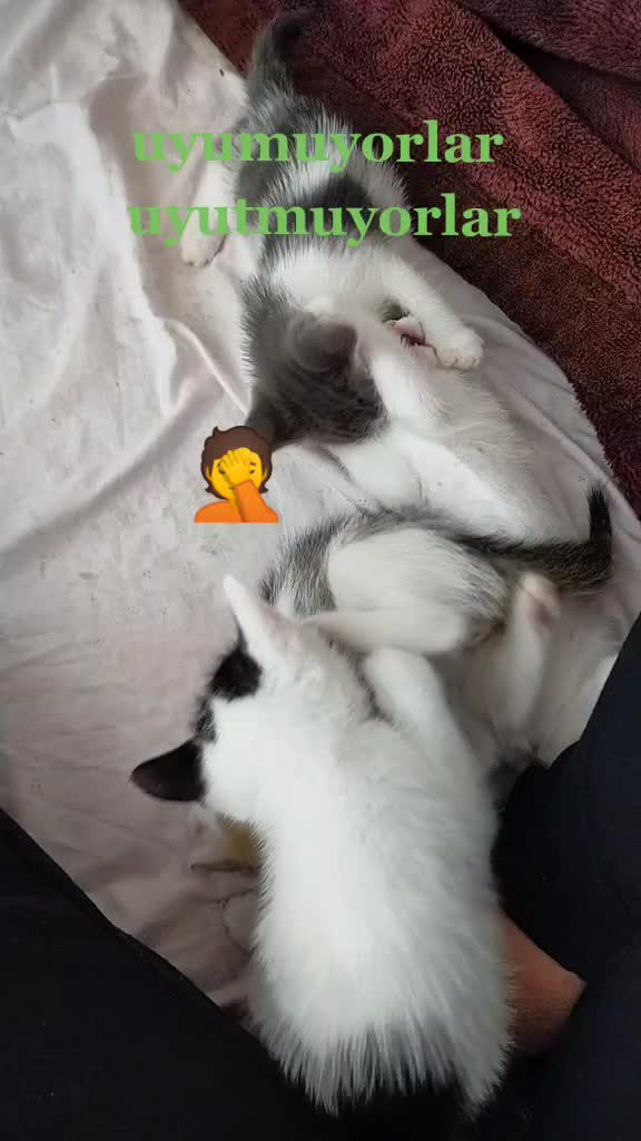 @elbet bir gün 🌌