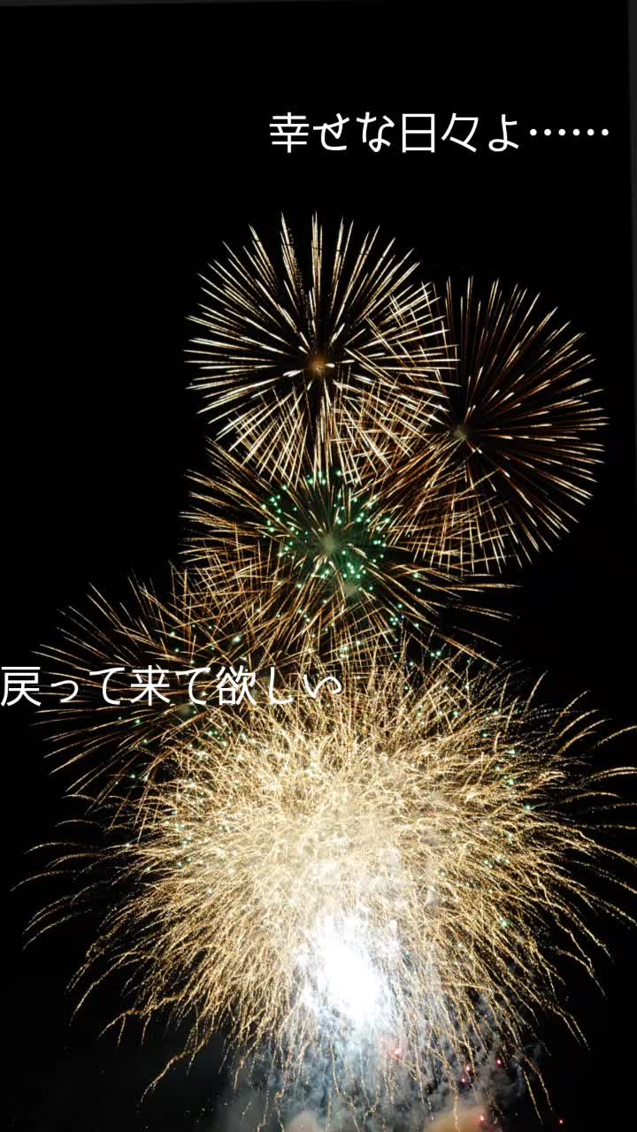 @まいちゃʕ•ᴥ•ʔ