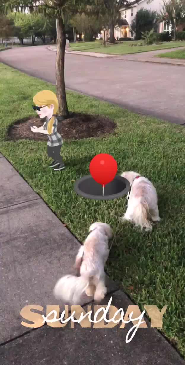 @Tobybobbydog