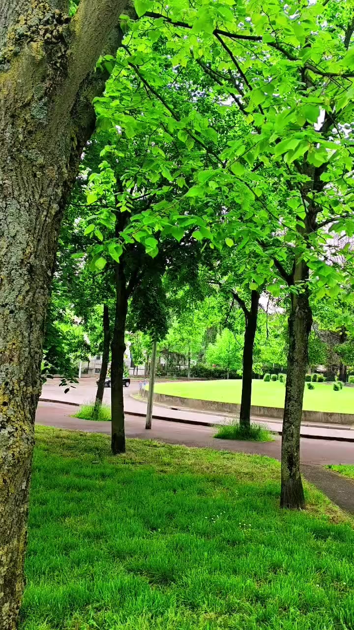 @Arunsunny