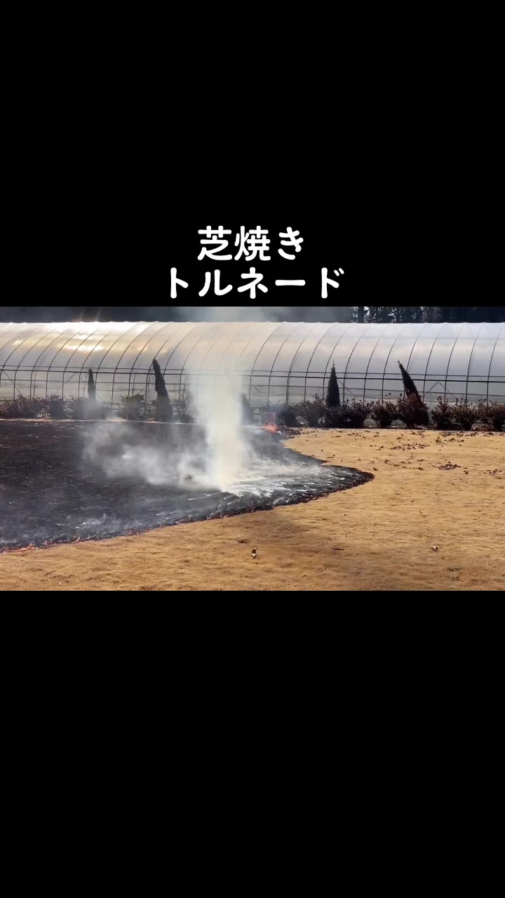 @matsuken_life
