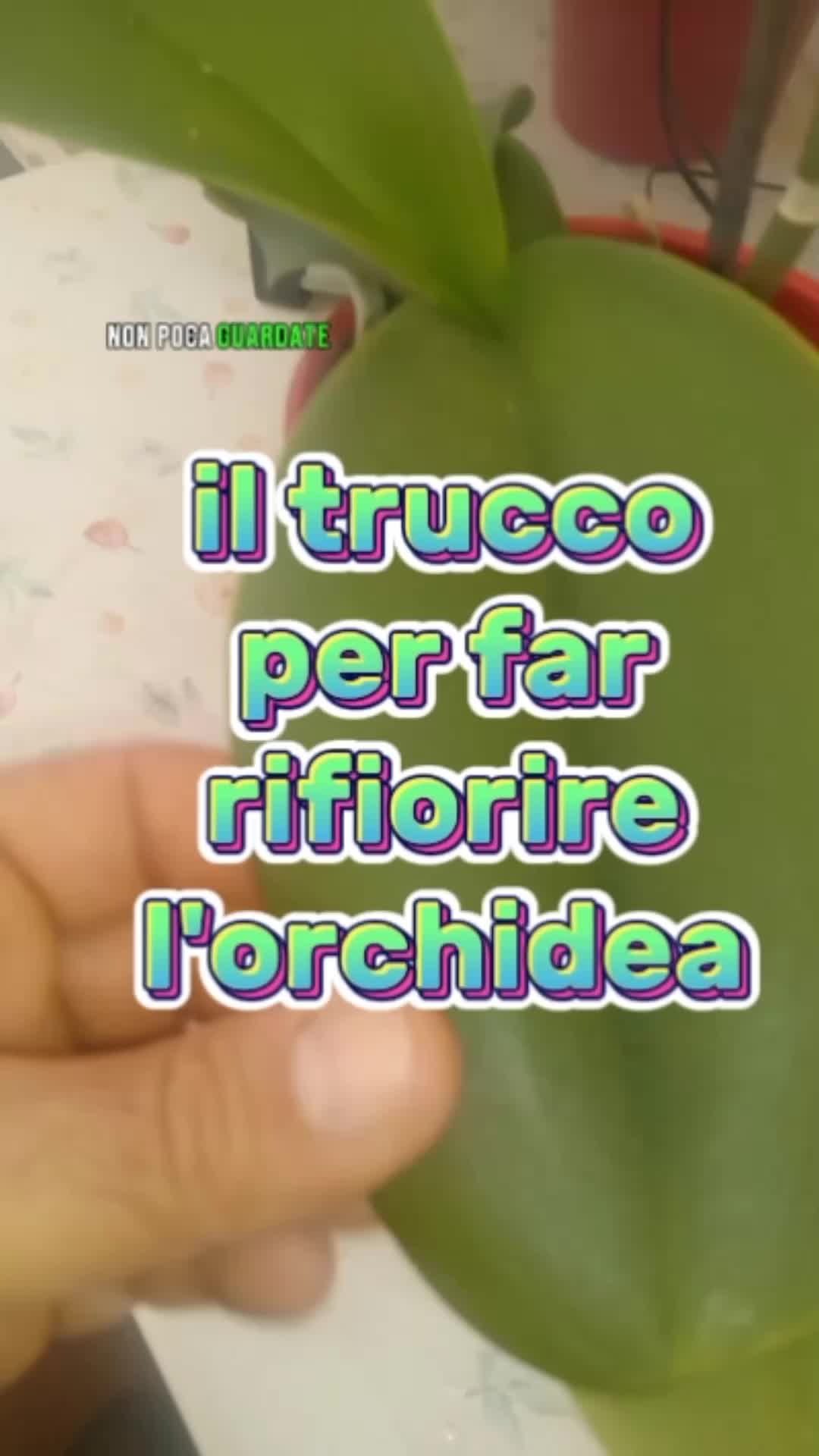@Il giardiniere felice