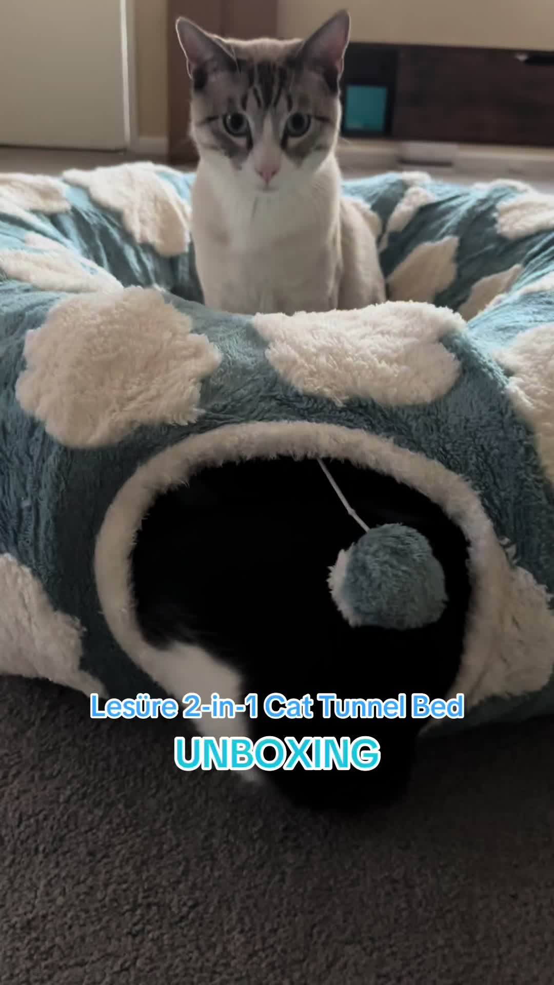 @SueCleansIt