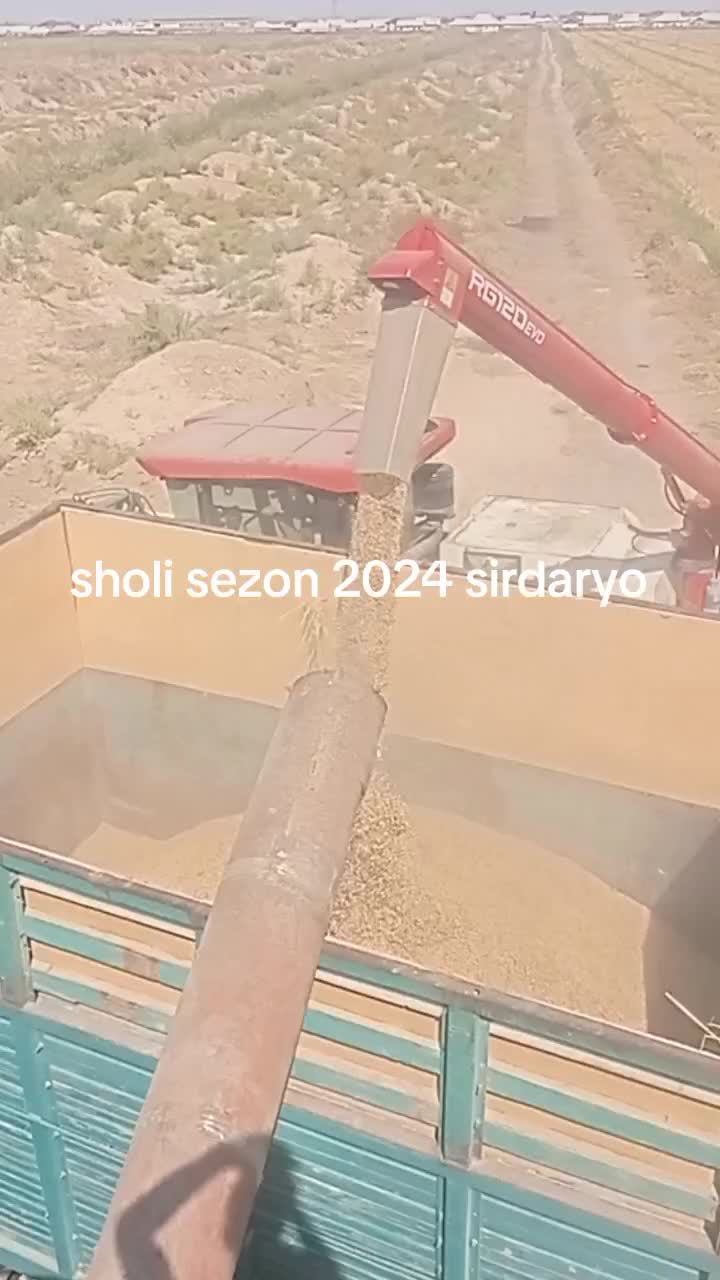 @Telbalarcha