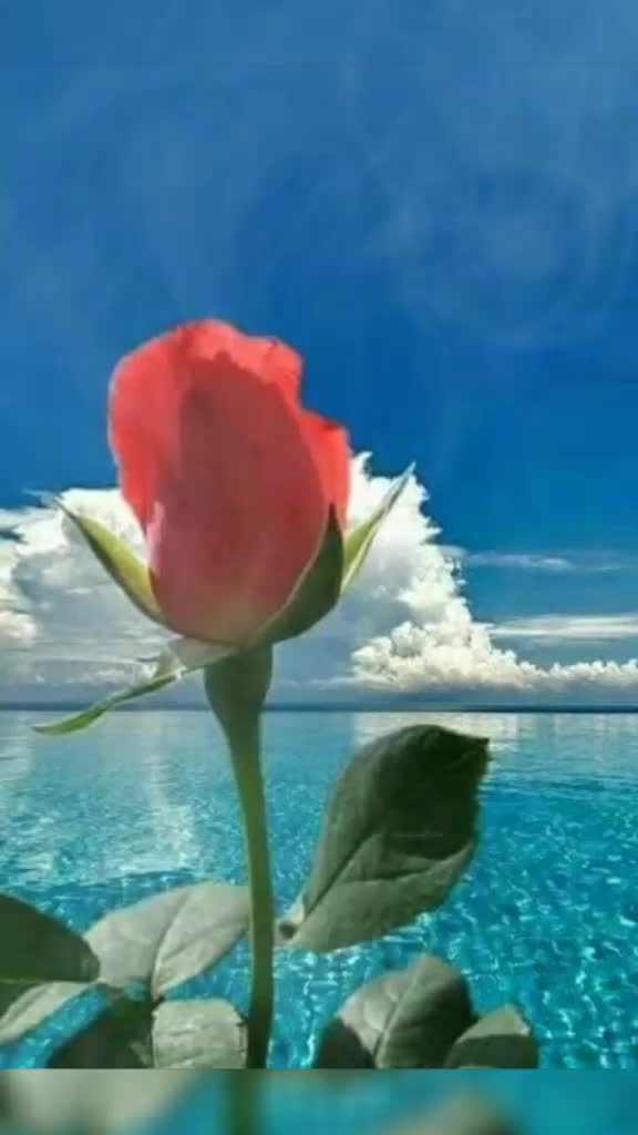 @కన్నయ్య