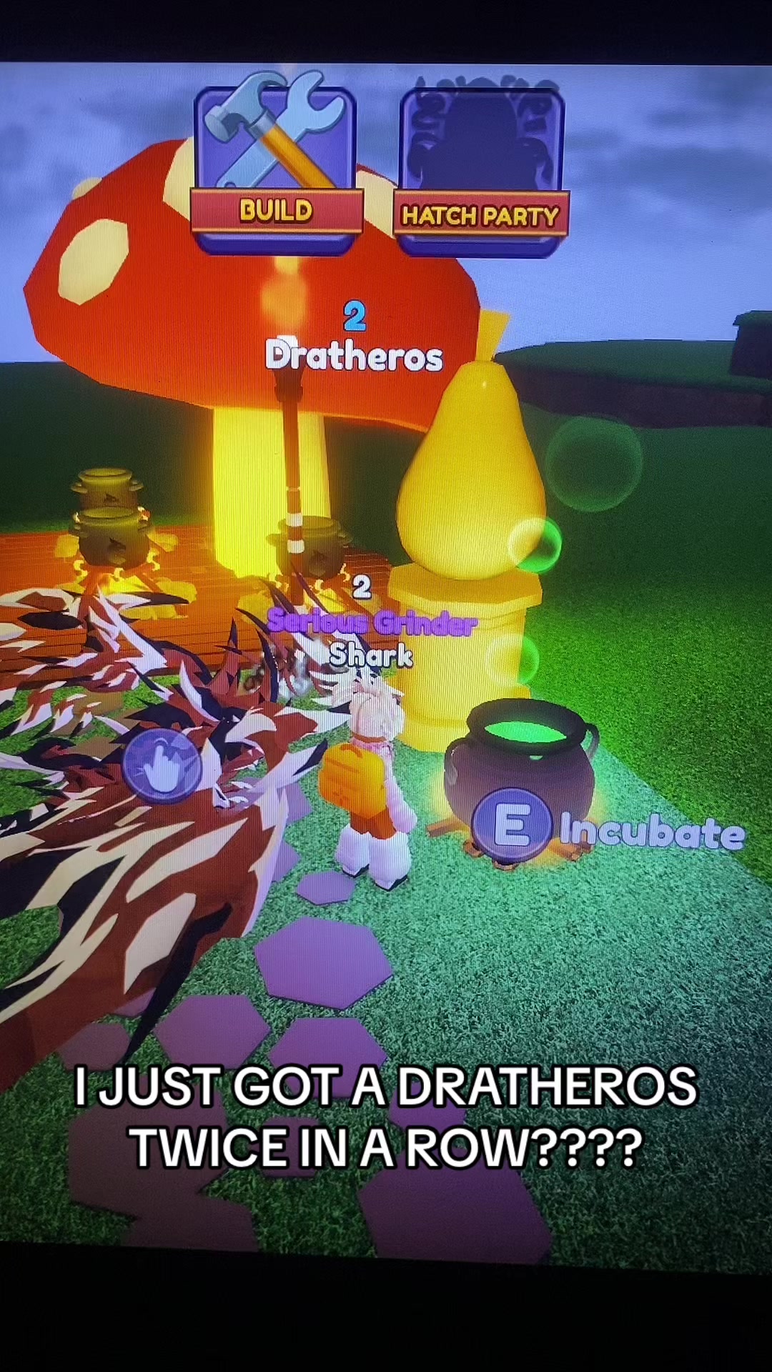@Ace