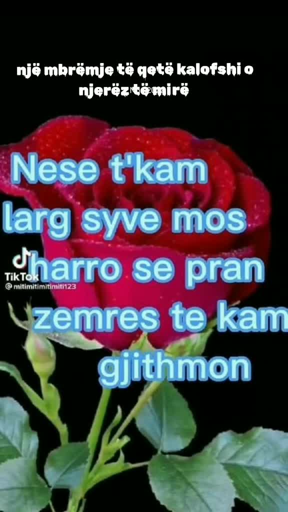 @MONI 65