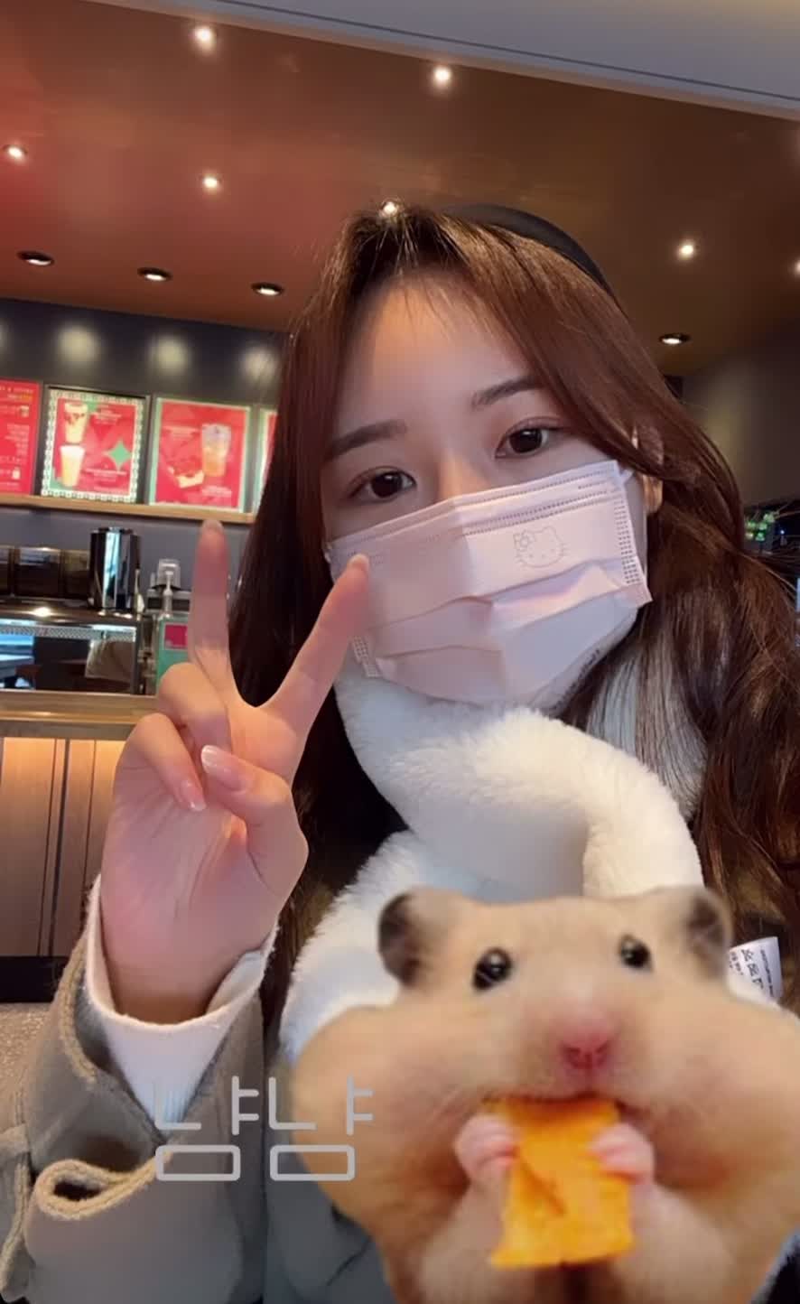 @폴_뚱끼