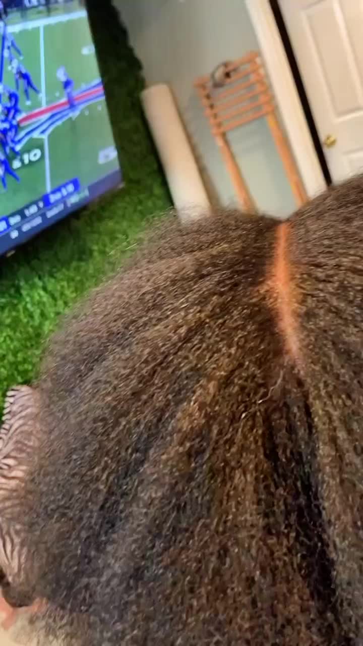 @thebusybraider