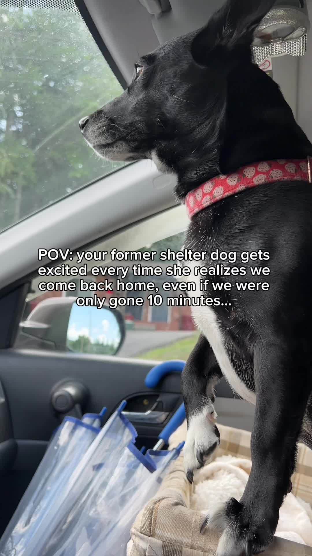 @Candice + Willow ♥️🐾