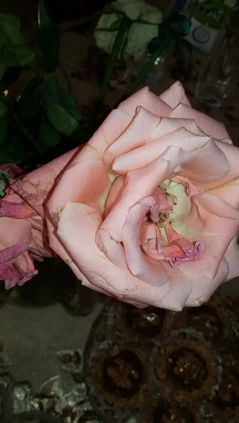 @tabkhe_yum1