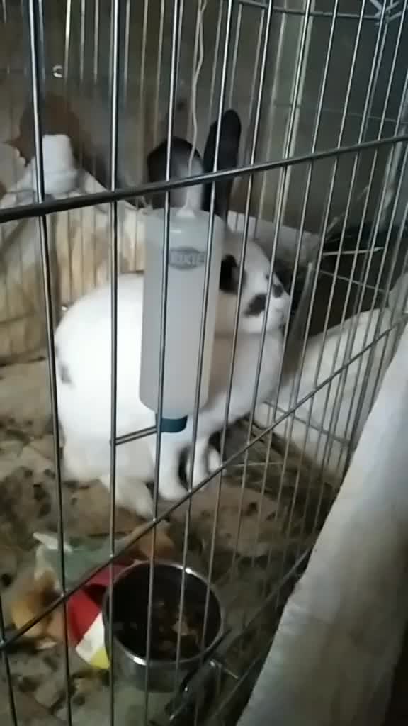 @просто настя
