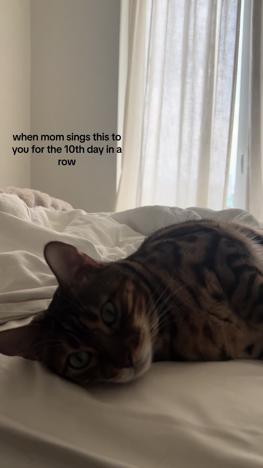 @Mona